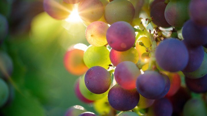 Ne Kadar Fonksiyonel?