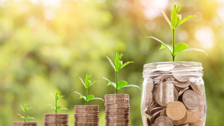 Eren Aksoyoğlu: “Gıda güvenliği piyasa baskısı altında eziliyor.”