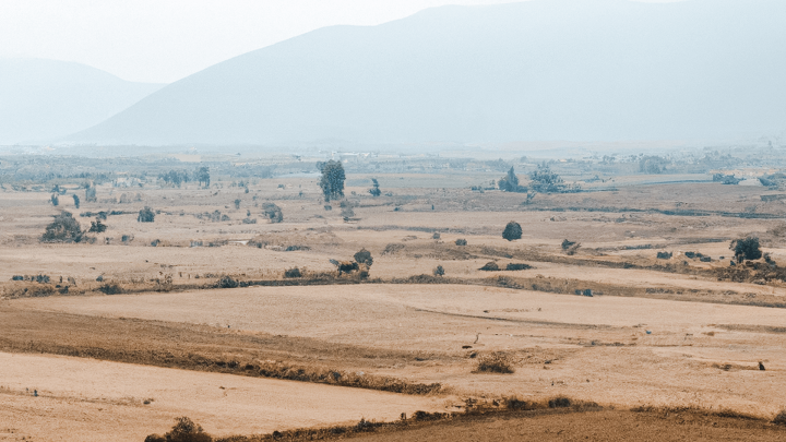 Gıda Krizi Nasıl Atlatılır?